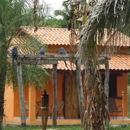 Pousada Reserva Ecologica Jaguar Poconé Extérieur photo