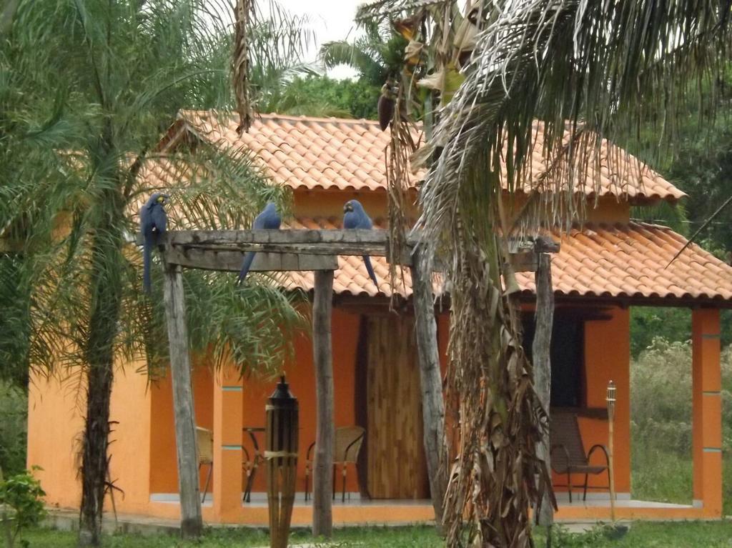 Pousada Reserva Ecologica Jaguar Poconé Extérieur photo